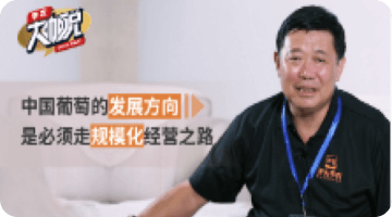 中国普通的发展方向 是必须走规模化经营之路
