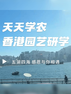 与香港园艺学会联合举办香港园艺研学，专业园境师带队讲解。