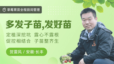 多发子苗，发好苗